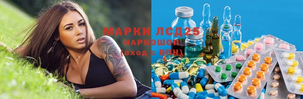 стафф Баксан